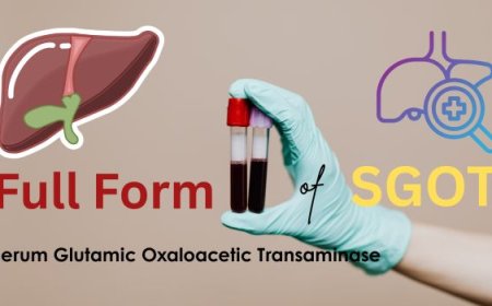 SGOT Full Form in Medical: Meaning, Function, Normal Range & More