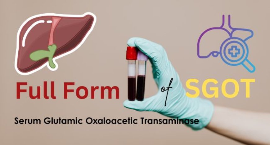 SGOT Full Form in Medical: Meaning, Function, Normal Range & More